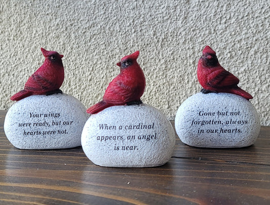 Cardinal on Stone