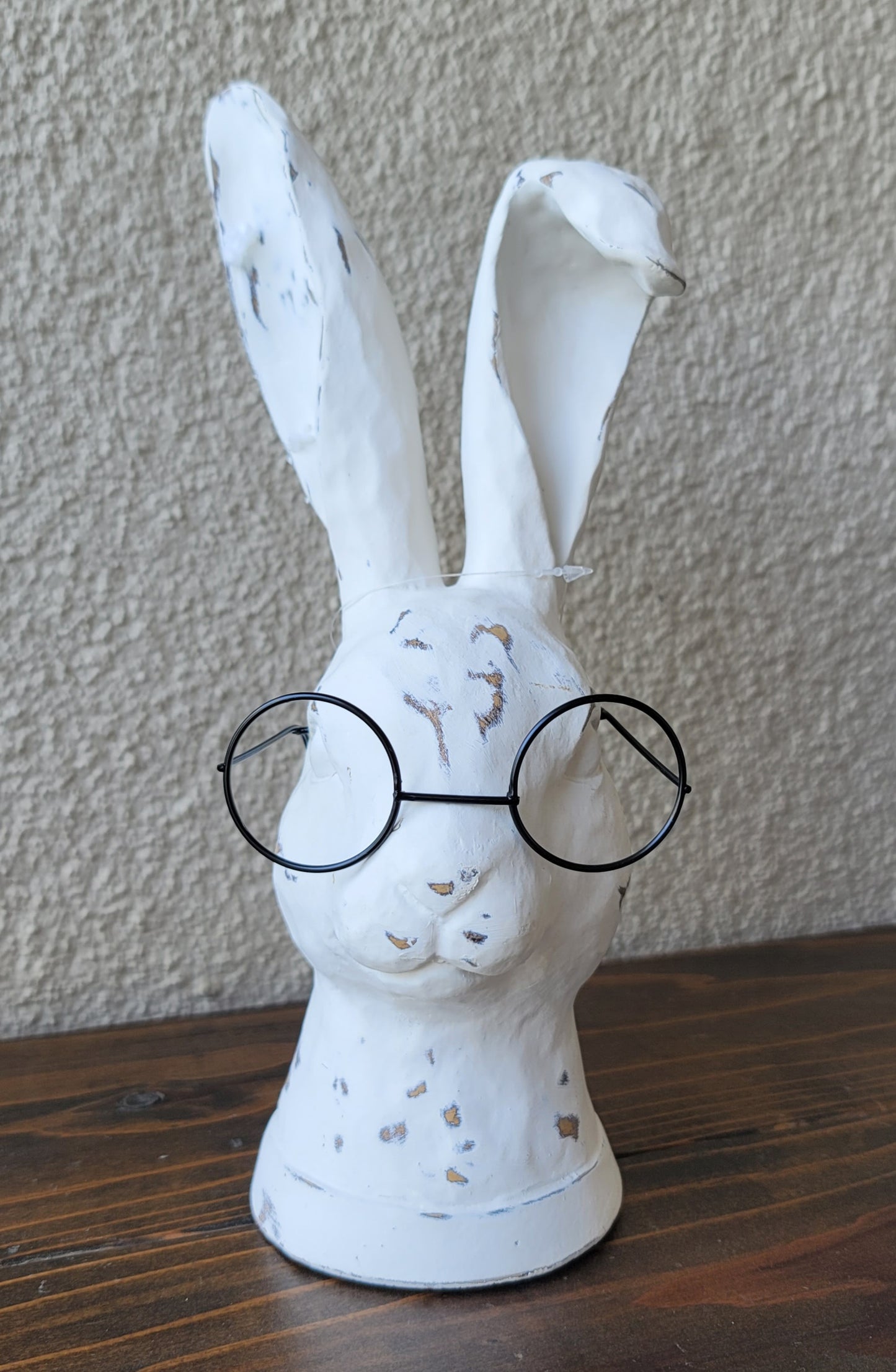 Curiosity Rabbit with Glasses