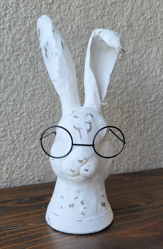 Curiosity Rabbit with Glasses