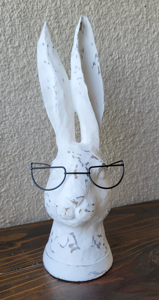 Rabbit with Glasses