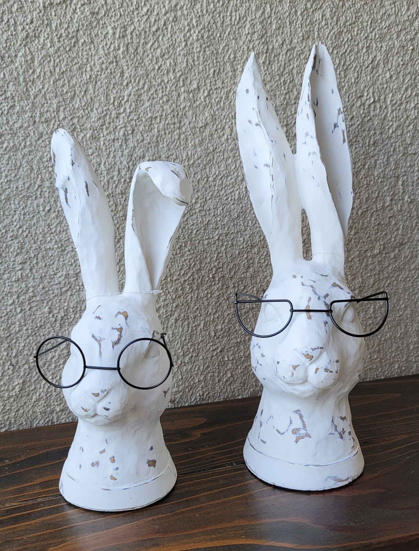 Curiosity Rabbit with Glasses