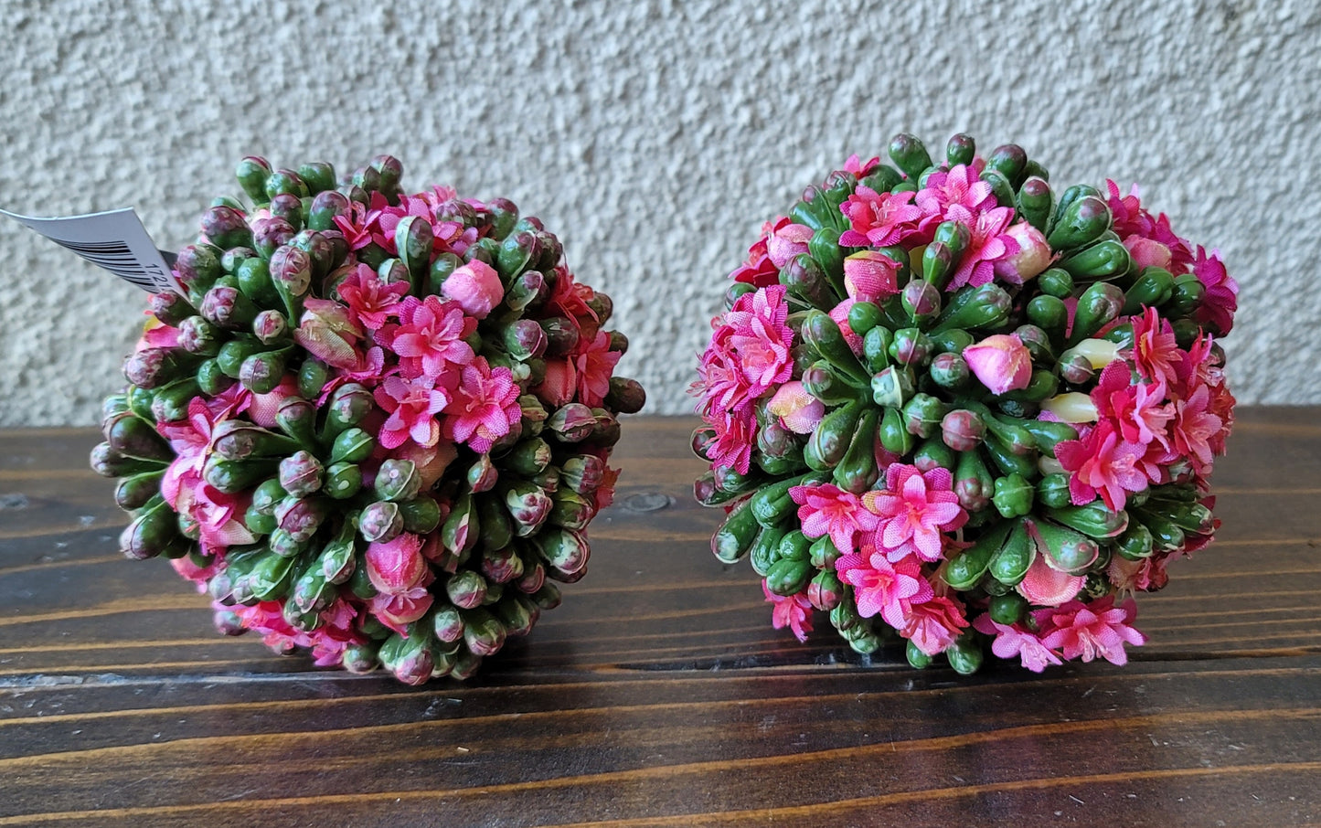 Pink Kalanchoe Ball